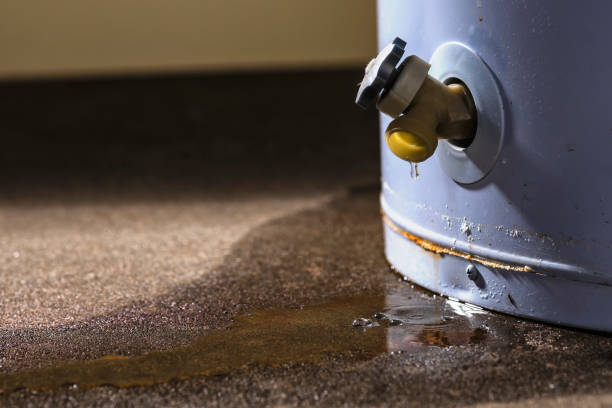 Best Emergency water damage restoration  in Linden, AL