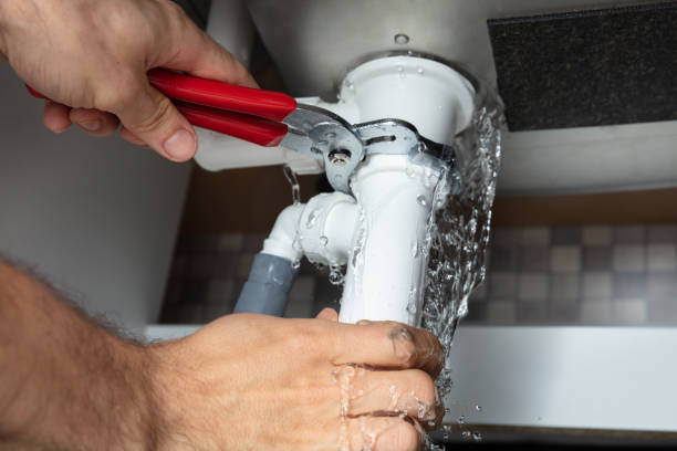Best Professional water damage repair  in Linden, AL