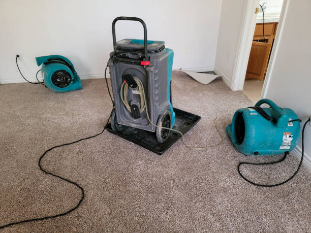 Best Carpet water damage restoration  in Linden, AL