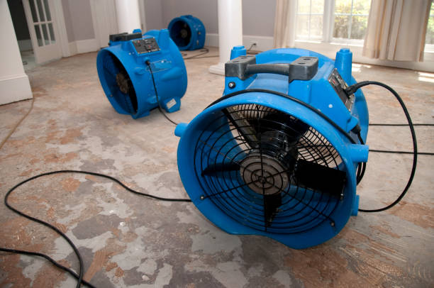 Best Commercial water damage restoration  in Linden, AL