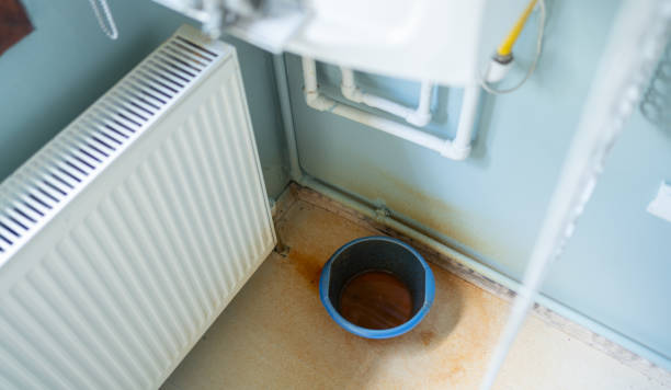  Linden, AL Water damage restoration Pros