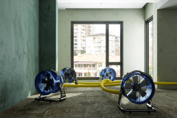 Best Water damage repair service  in Linden, AL