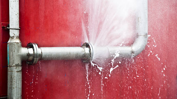 Best Basement water damage restoration  in Linden, AL